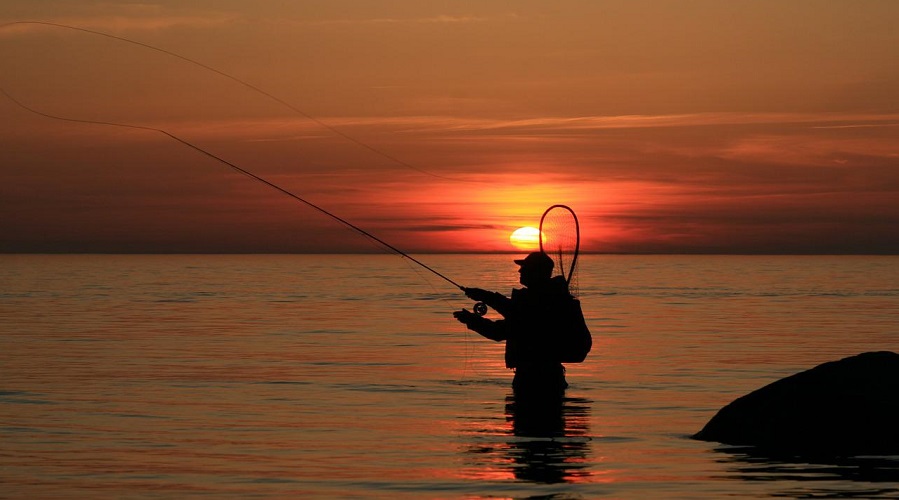 fly fishing at sunset
