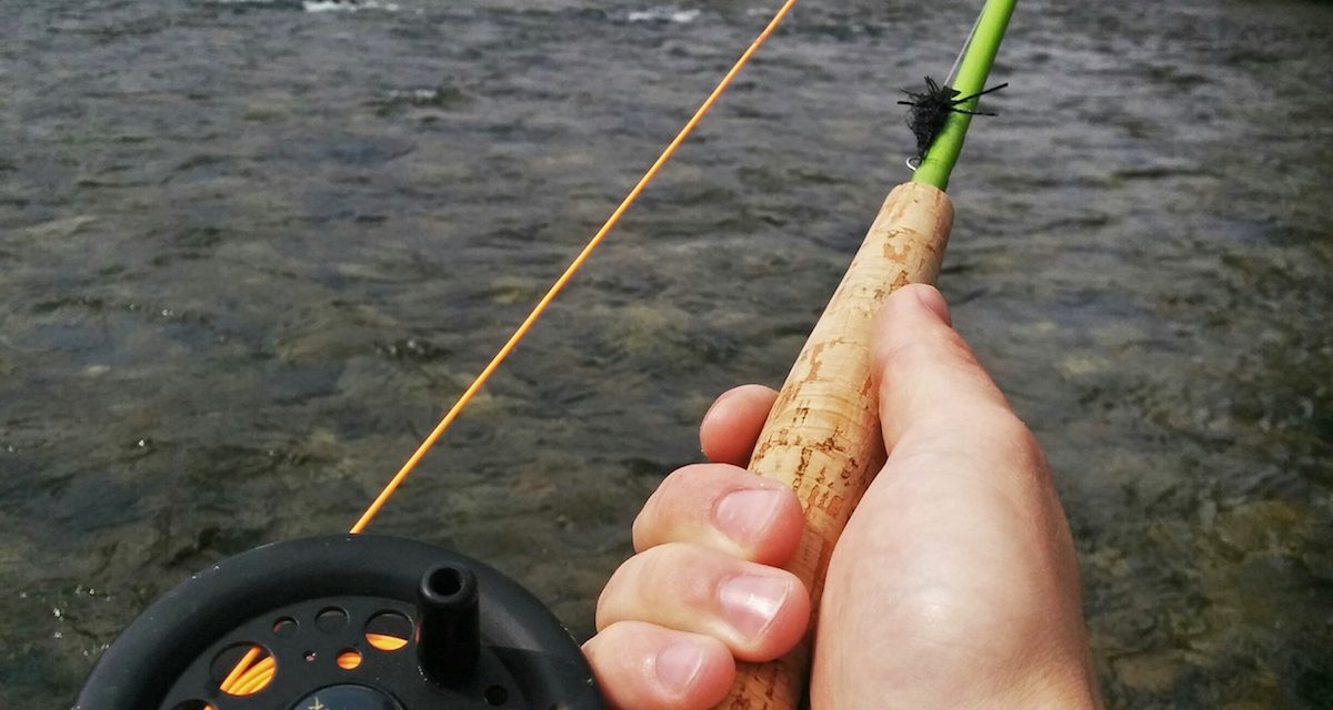 Idaho Fishing Licenses