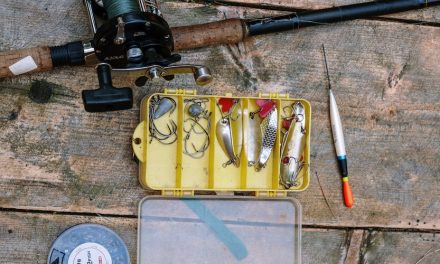 Best Fishing Starter Kit