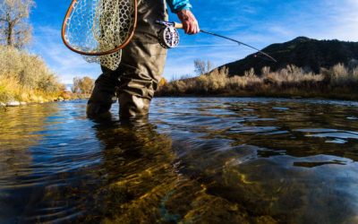 Importance of buying a Fishing License