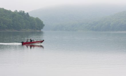 The Best Lakes for Catfish Fishing in Pennsylvania