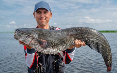 Best Catfish bait for 2024 – Surprising Results!