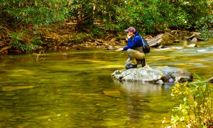 7 of the Top Fishing Spots in North Carolina