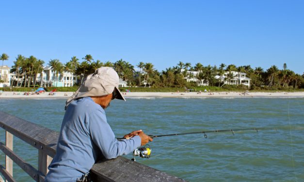 8 Best Fishing Spots in Florida