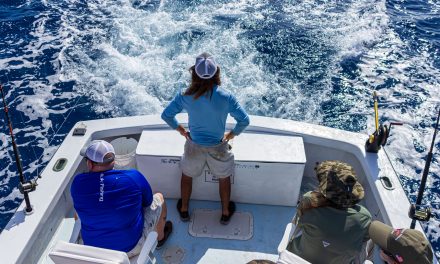 The 10 Best Fishing Charters in Florida