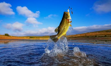 Best Bass Fishing Lakes in the US