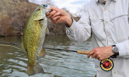 Fishing For and Catching Smallmouth Bass