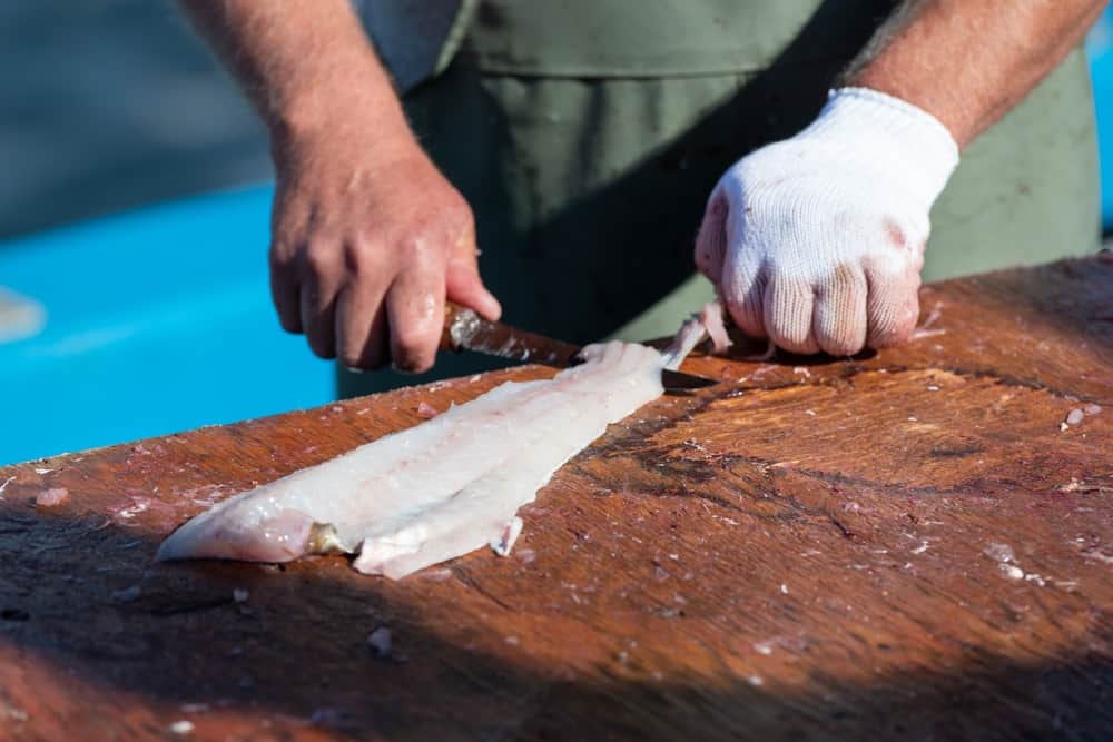 Man skinning catfish filet