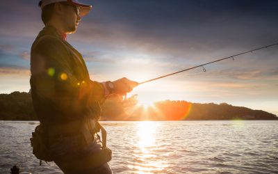 The Best Bass Fishing Lakes in Michigan