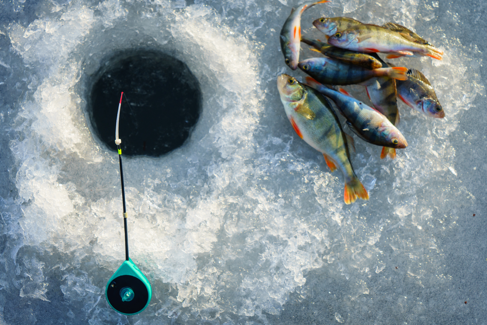 ice fishing with fish near