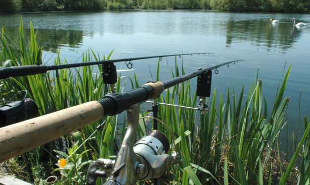 7 Tips For Choosing A Freshwater Reel
