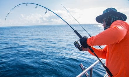 Our Beginner’s Guide To Saltwater Fishing
