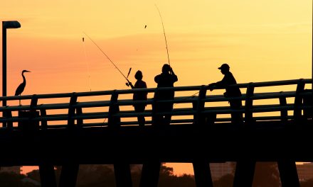 7 of The Best Fishing Piers in Florida