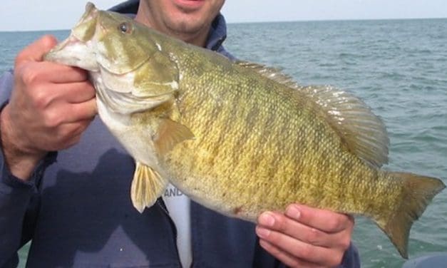 How To Catch Smallmouth Bass