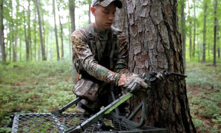 Selecting the Right Tree Stand